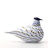 Birds Blue Charadrius 0044