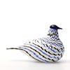 Birds Blue Charadrius 0046