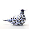 Birds Blue Charadrius 0047