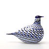 Birds Blue Charadrius 0048