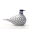 Birds Blue Charadrius 0051