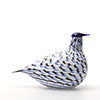 Birds Blue Charadrius 0052