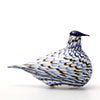 Birds Blue Charadrius 0054
