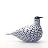 Birds Blue Charadrius 0055