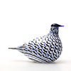 Birds Blue Charadrius 0056