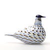 Birds Blue Charadrius 0057