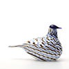 Birds Blue Charadrius 0058