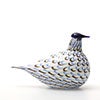 Birds Blue Charadrius 0060