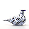 Birds Blue Charadrius 0063