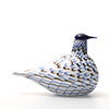 Birds Blue Charadrius 0064
