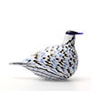 Birds Blue Charadrius 0067