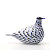 Birds Blue Charadrius 0068
