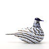 Birds Blue Charadrius 0069