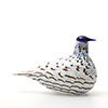 Birds Blue Charadrius 0071