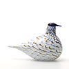 Birds Blue Charadrius 0072
