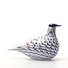 Birds Blue Charadrius 0074