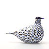 Birds Blue Charadrius 0075