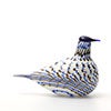 Birds Blue Charadrius 0077