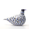 Birds Blue Charadrius 0079