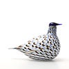 Birds Blue Charadrius 0080