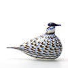 Birds Blue Charadrius 0082