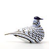 Birds Blue Charadrius 0083