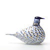 Birds Blue Charadrius 0086