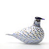 Birds Blue Charadrius 0087