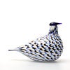 Birds Blue Charadrius 0089