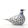 Birds Blue Charadrius 0091