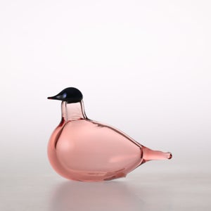 Birds Chiffchaff サーモンピンク 0055