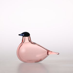 Birds Chiffchaff サーモンピンク 0057