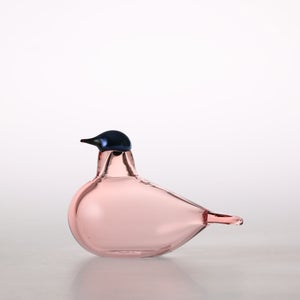 Birds Chiffchaff サーモンピンク 0060