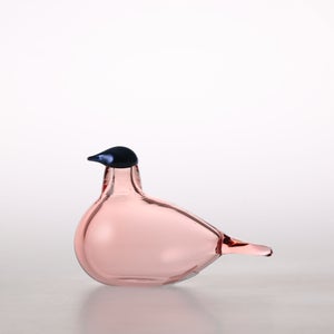 Birds Chiffchaff サーモンピンク 0062