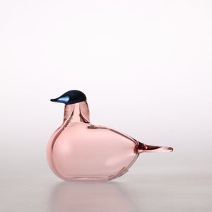 Birds Chiffchaff サーモンピンク 0064