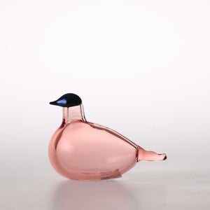 Birds Chiffchaff サーモンピンク 0065