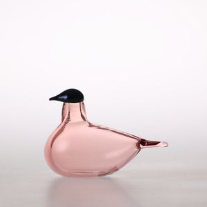 Birds Chiffchaff サーモンピンク 0070