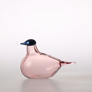 Birds Chiffchaff サーモンピンク 0072