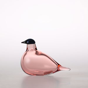 Birds Chiffchaff サーモンピンク 0073