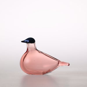 Birds Chiffchaff サーモンピンク 0075