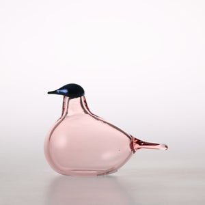 Birds Chiffchaff サーモンピンク 0076