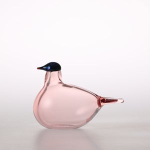 Birds Chiffchaff サーモンピンク 0077