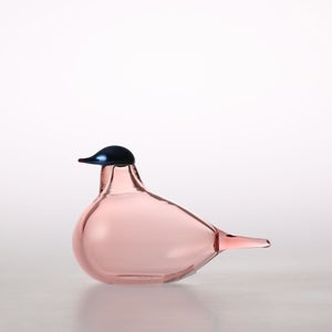 Birds Chiffchaff サーモンピンク 0079