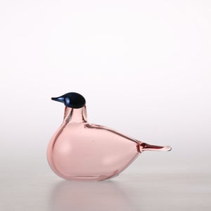 Birds Chiffchaff サーモンピンク 0080