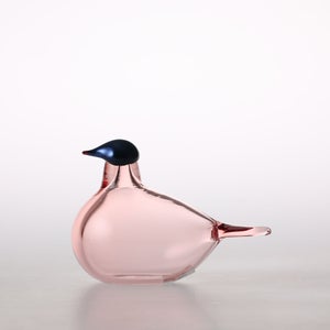 Birds Chiffchaff サーモンピンク 0083