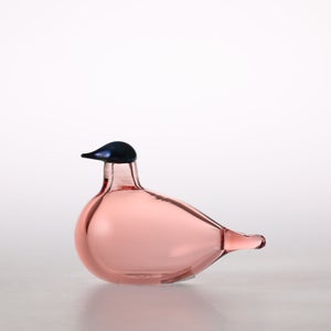 Birds Chiffchaff サーモンピンク 0084