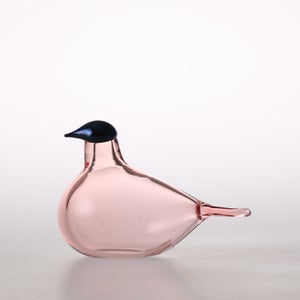 Birds Chiffchaff サーモンピンク 0086