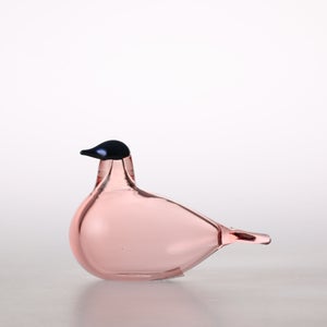 Birds Chiffchaff サーモンピンク 0089