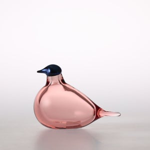 Birds Chiffchaff サーモンピンク 0090