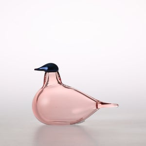 Birds Chiffchaff サーモンピンク 0092